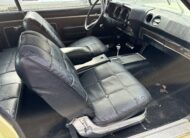 AMC Ambassador 5.6 V8