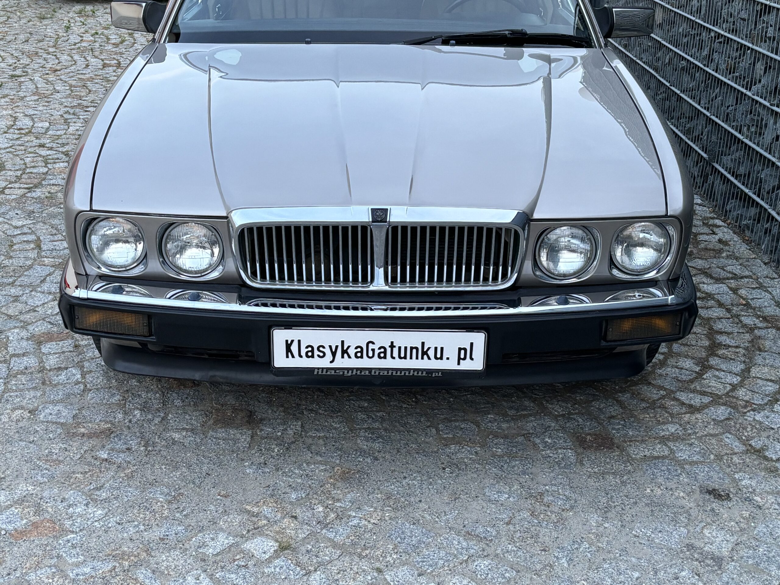 Jaguar XJ6
