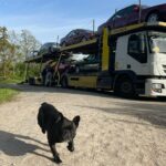 Zdjęcie WhatsApp 2025-06-19 o 14.59.53_5bbb0a53